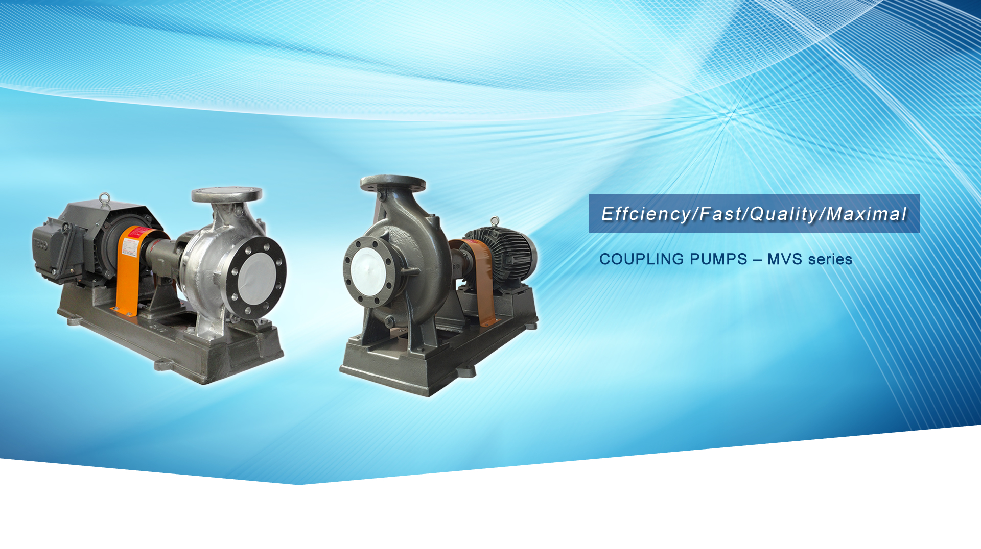 COUPLING PUMPS – MVS series